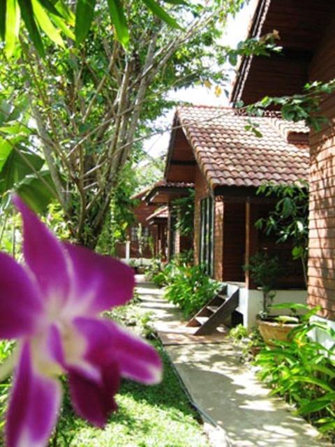 סוקותאי Phu Aroon Guesthouse חדר תמונה